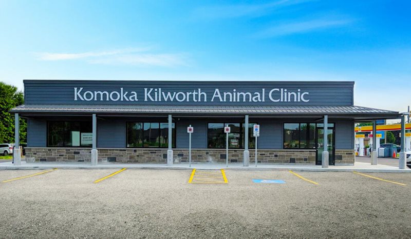 Komoka Kilworth Animal Clinic External View